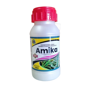 Home amika removebg preview