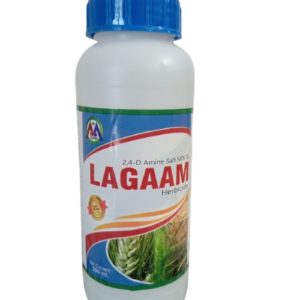 Home lagaam removebg preview