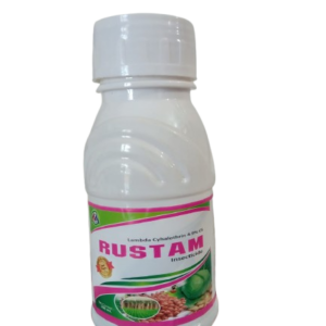 Home rustam removebg preview