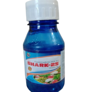 Home shark 25 removebg preview
