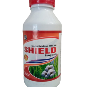Home shield removebg preview