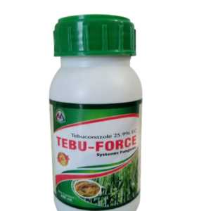 Home tebu force removebg preview