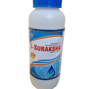 Home z suraksha removebg preview